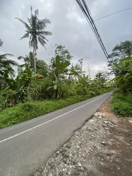 Jual tanah ubud jalan suweta ubud gianyar