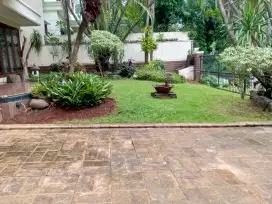Potong rumput taman dan kebun depok