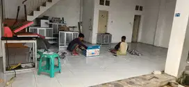 RUMAH SEWA PETUKANGAN UTARA PESANGRAHAN JAKRTA SELATAN
