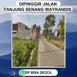 KAVLING RUKO DAN RUMAH TANJUNG SENANG DEKAT PASAR WAYKANDIS