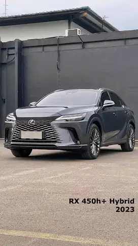 Lexus RX450+ HEV ATPM 2023 ANTIK