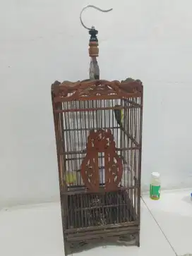 Burung kolibri kelapa jual sama kandng nya