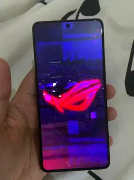 Asus Rog Phone 8 12 256