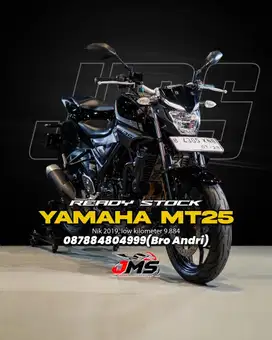 YAMAHA MT25 NIK 2019