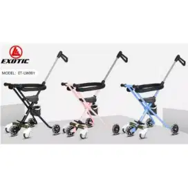 Exotic stroller baby