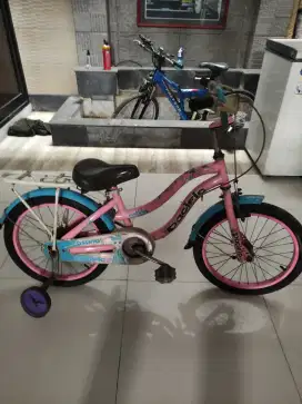 Sepeda anak ring 18 merk Pacifik