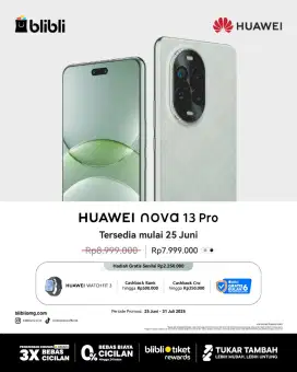 HUAWEI NOVA 13 PRO 12/512 GB