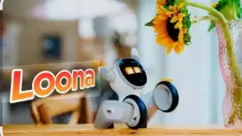 Robot Loona menarik