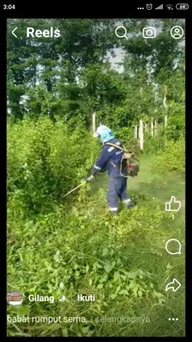 Jasa potong rumput & servis taman