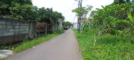Tanah Bogor Nyaman Untuk Hunian Di Perumahan Laladon Indah