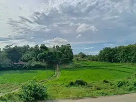 Layak Hunian & Investasi, Kavling SHM Cibarusah, Bekasi