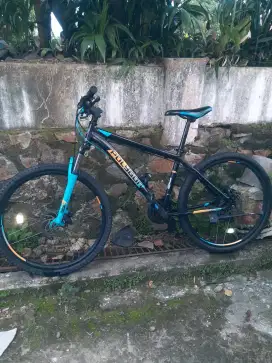 Sepeda Mtb Polygon Monarch 5