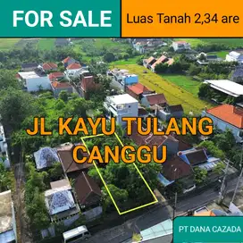 JL UTAMA KAYU TULANG CANGHU 2,34 ARE