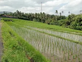 BUC! DIJUAL TANAH DI PANTAI BALIAN BEACH TABANAN BALI