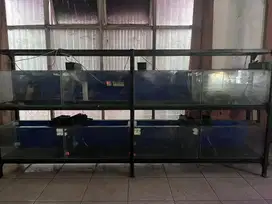Tank aquarium 80 x 40 x 40 cm