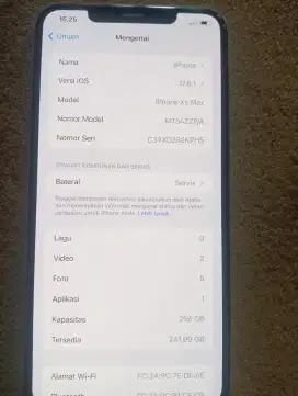 Iphone Xs max 256 GB Alloprator
