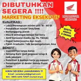 Marketing Eksekutif - Honda Motor