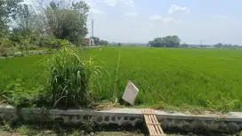 Dijual Sawah daerah Kebakkramat Karanganyar