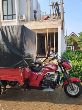 Motor viar roda 3 greess bngylt