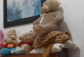 BONEKA BERUANG XL dan BONEKA PENYU XL