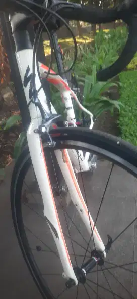 Sepeda roadbike specialized