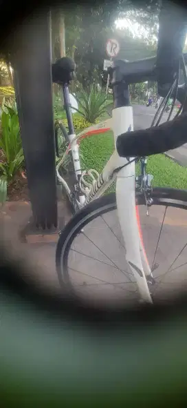 Sepeda roadbike specialized