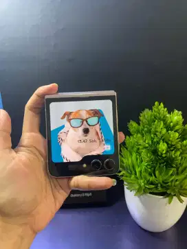 SAMSUNG Z FLIP 5 RAM 8/512GB ALL