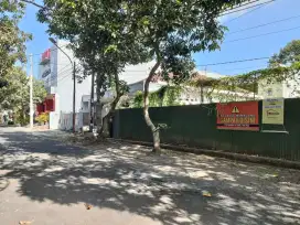 Langka! Bunga Cengkeh Depan Kampus UB Suhat Kota Malang