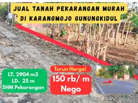 Jual tanah pekarangan murah di jatiayu karangmojo Gunung kidul