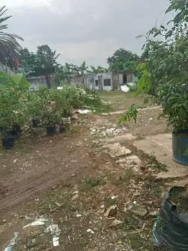TANAH LUAS DEKAT BINTARO COCOK UNTUK USAHA