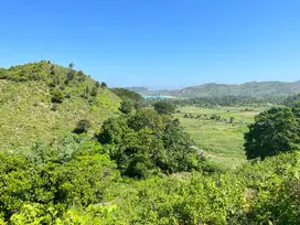 Tanah bukit view laut Pengantap