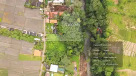 33 Are Leasehold Land with Ricefield & River View in Tranquil Cepaka