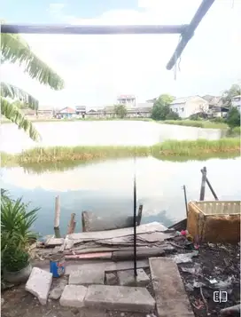 Tanah Lahan Basah di Rorotan di Jakarta Utara