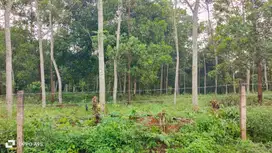 Tanah Dekat Stasiun Cilejit dan Perumahan Modernland Cilejit