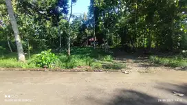 Tanah Pekarangan Dapat Jalan Aspal Besar Di Sleman Barat Yogyakarta