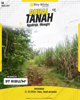 Tanah Murah Meriah SHM Pertanian di Ngadirojo Lor, Wonogiri