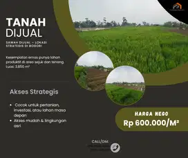 SAWAH DIJUAL – LOKASI STRATEGIS DI BOGOR!