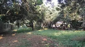 Tanah Kavling Area Gunung Putri 2Jtan / m2