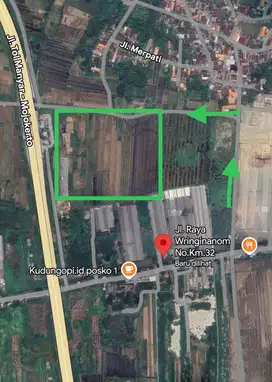 Tanah Komersial Siap Bangun Di Wringinanom - Desa Lebani Suko