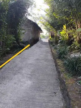 TANAH PEKARANGAN LT 51M2 80JT DEKAT DESA WISATA PULESARI TURI.JK13352