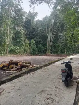 INVESTASI TANAH PEKARANGAN LT 250M2 175JT DEKAT JL CANGKRINGAN.JK13354