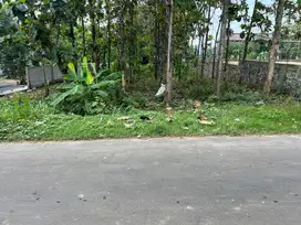 Tanah Super Datar 700m 225Jt Kedawung Sragen