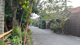 Tanah Kavling Bogor Dekat Terminal Laladon Free SHM