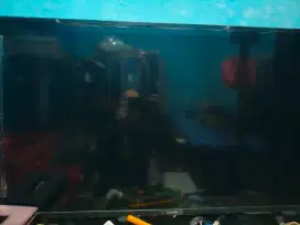 Televisi 40 inc merk coocaa