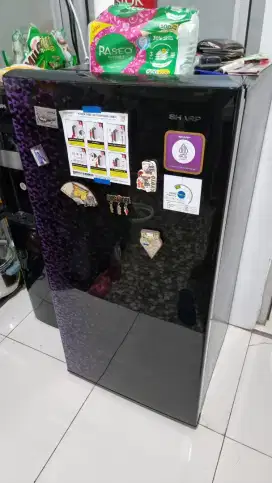 Kulkas 1 pintu merk sharp
