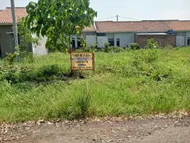 Jual cepat Tanah 847 M2 di Srimulyo Negeri Sakti Pesawaran