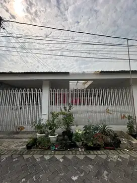 Rumah Sutorejo Tengah STRATEGIS