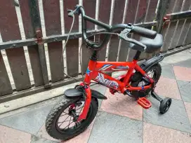 Sepeda anak phoenix