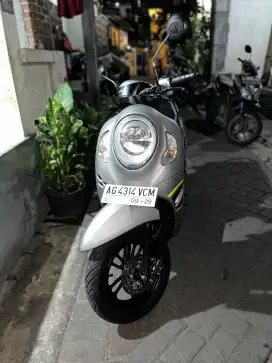Scoopy Sporty 2024