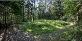 testing ad for escrow rc prod